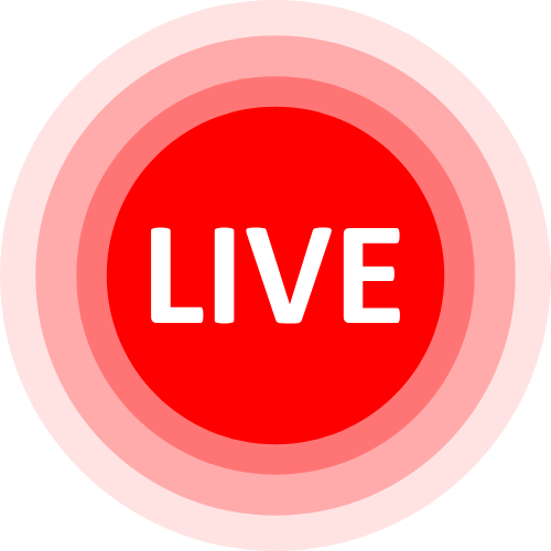 1v1 Adult Cams